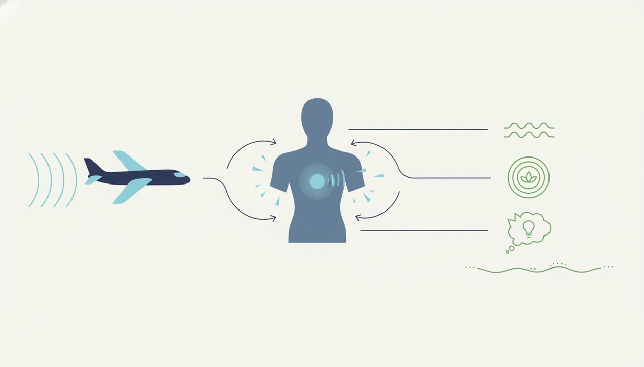 A simple diagram shows flight sensations, nervous system arousal, and calming tools connected by arrows.